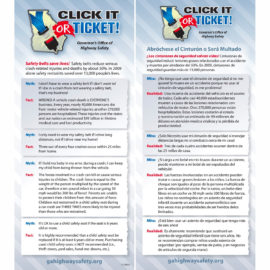 Click It or Ticket Fact Card Brochure